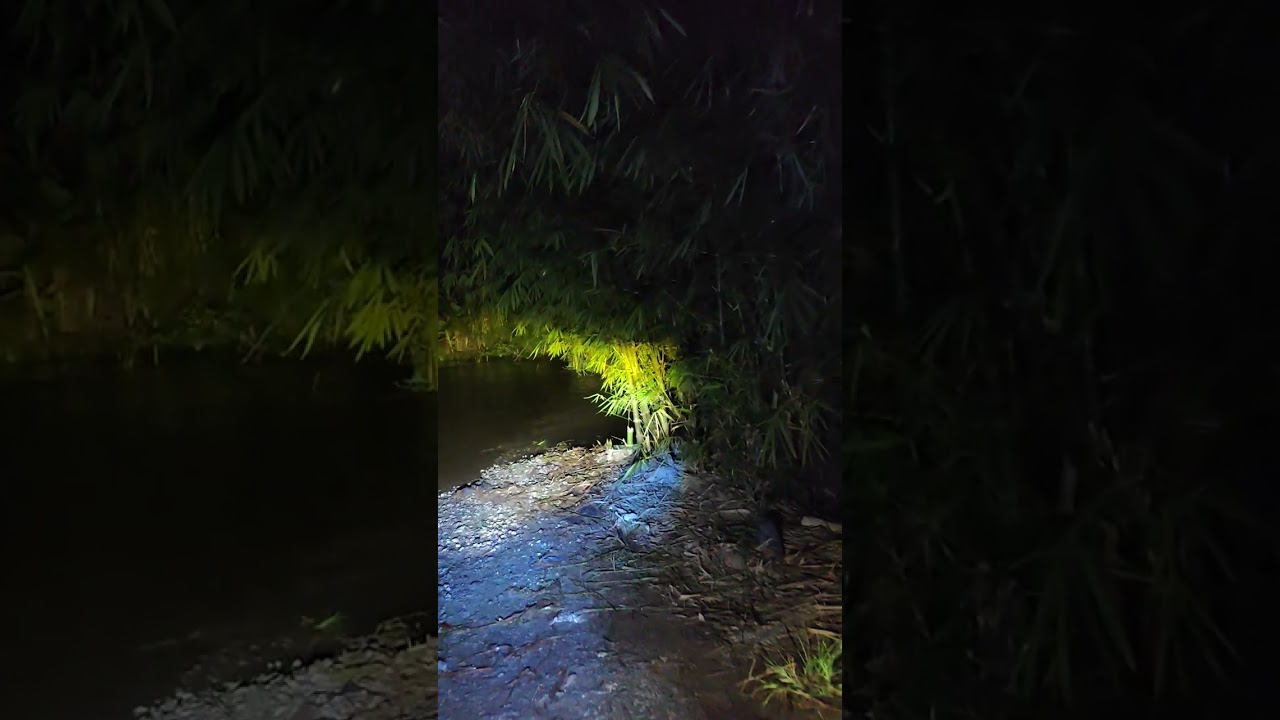 Otw Muara wis waktu malam, Kal-Tim kukar
