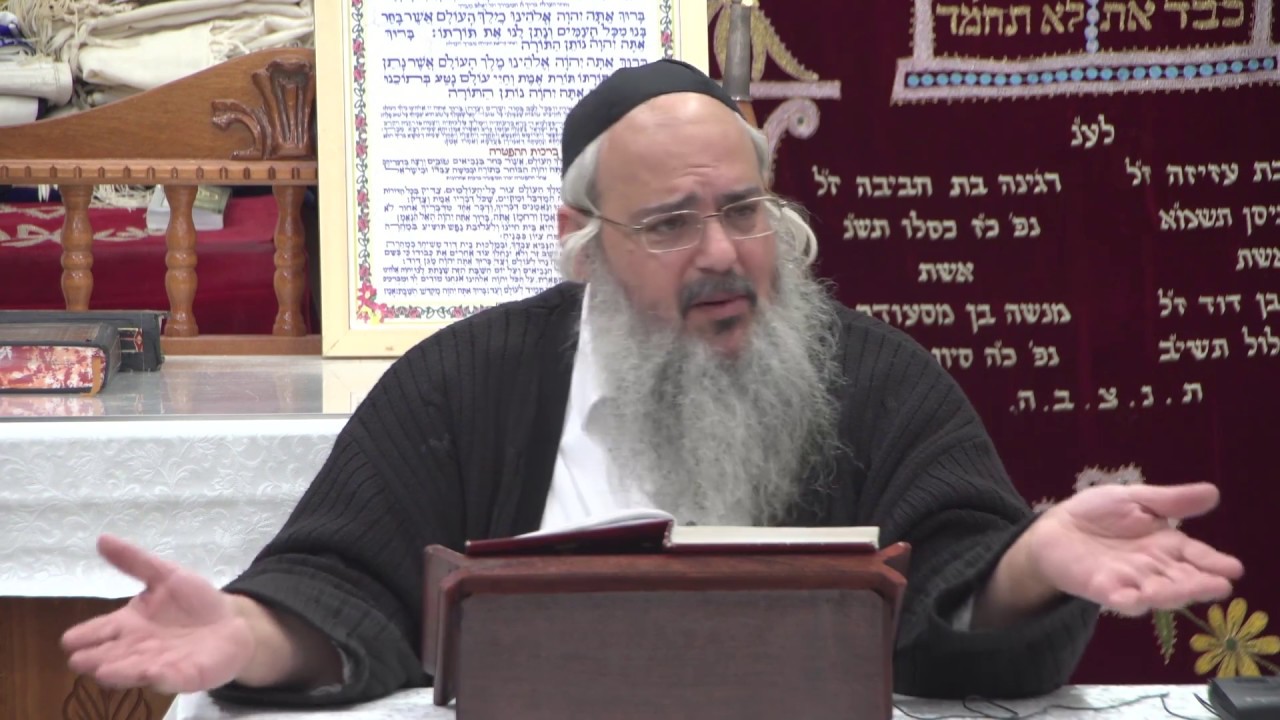 פנינים מפרשת שמות - הרב שלמה לוינשטיין HD