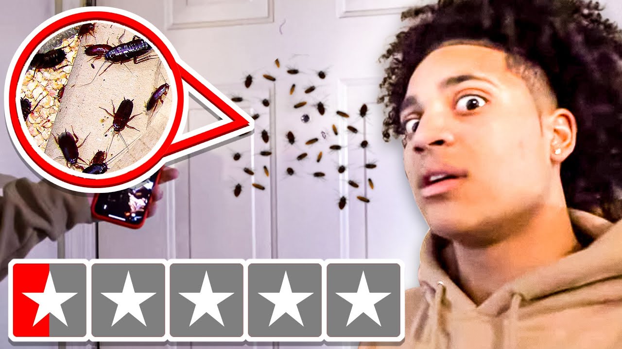 I Stayed The Night At A 1 Star Hotel...
