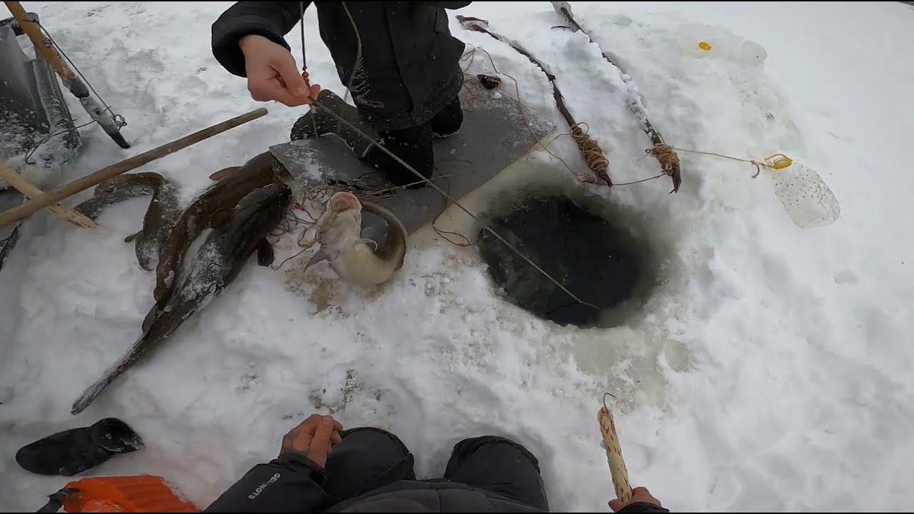 Рыбалка,Осётр на Енисее..17