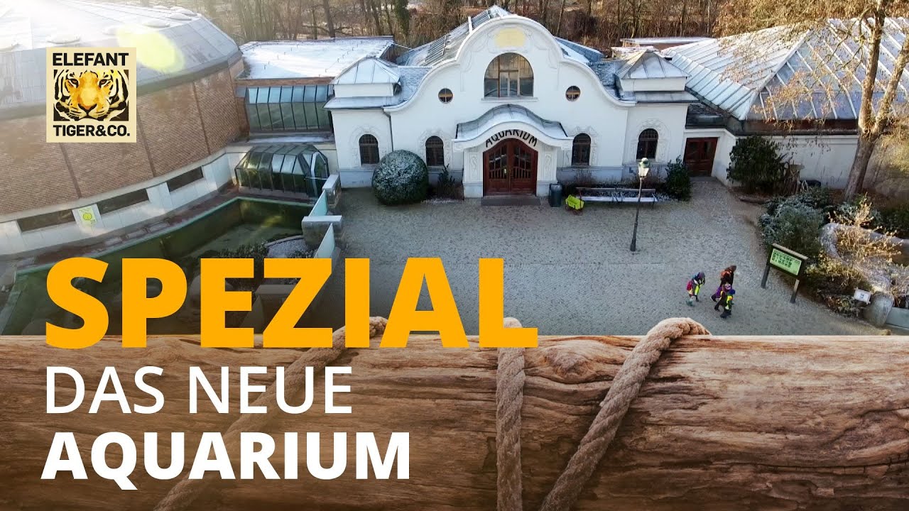 Elefant, Tiger & Co. - Spezial: Das neue Aquarium | Elefant, Tiger & Co. | MDR
