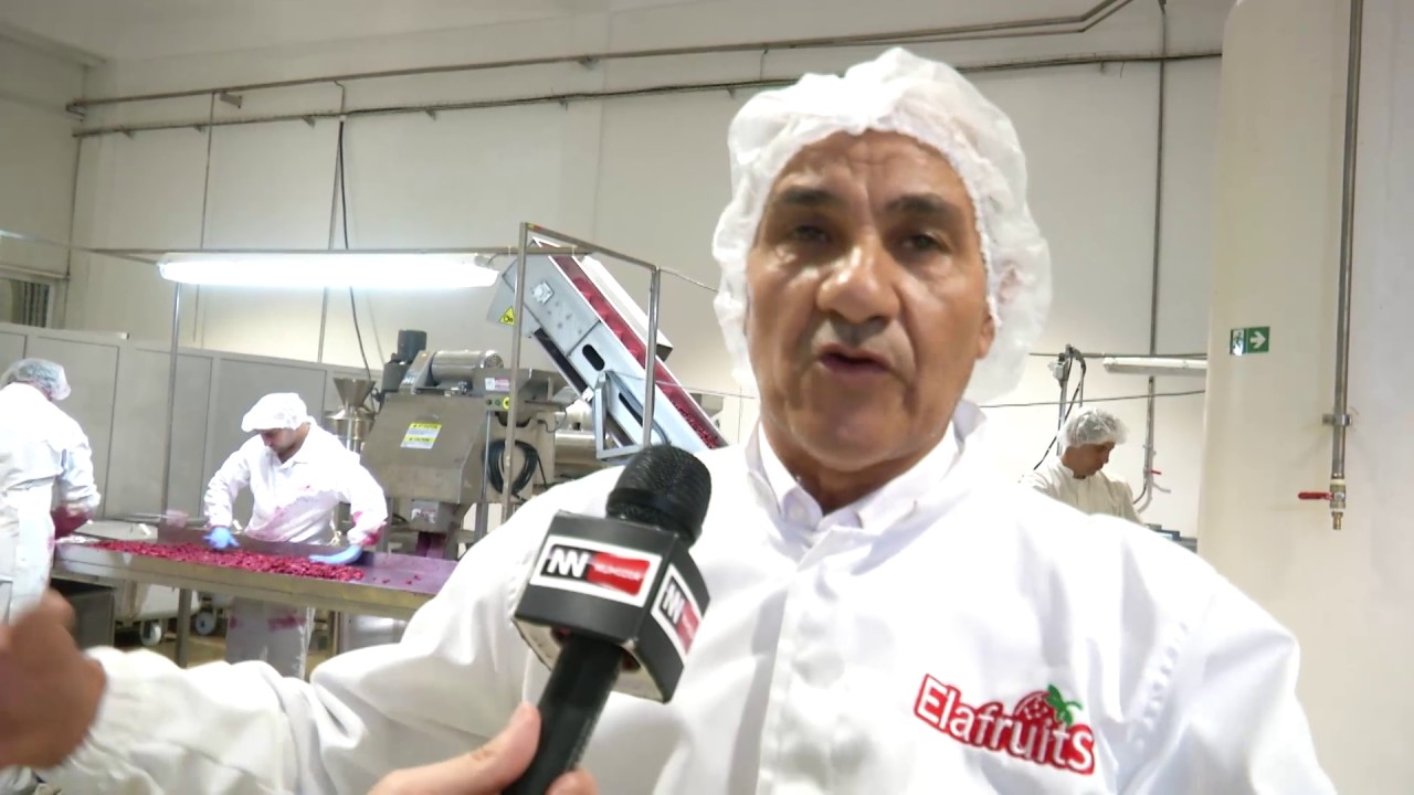 BEJAIA.ECO SARL EL AFRUITS AKBOU