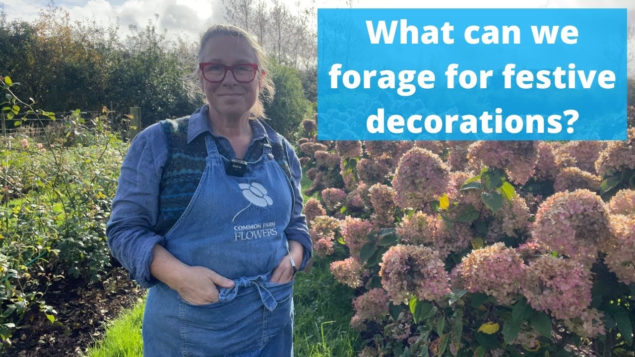 What could you be harvesting for making Christmas wreaths and garlands this winter?