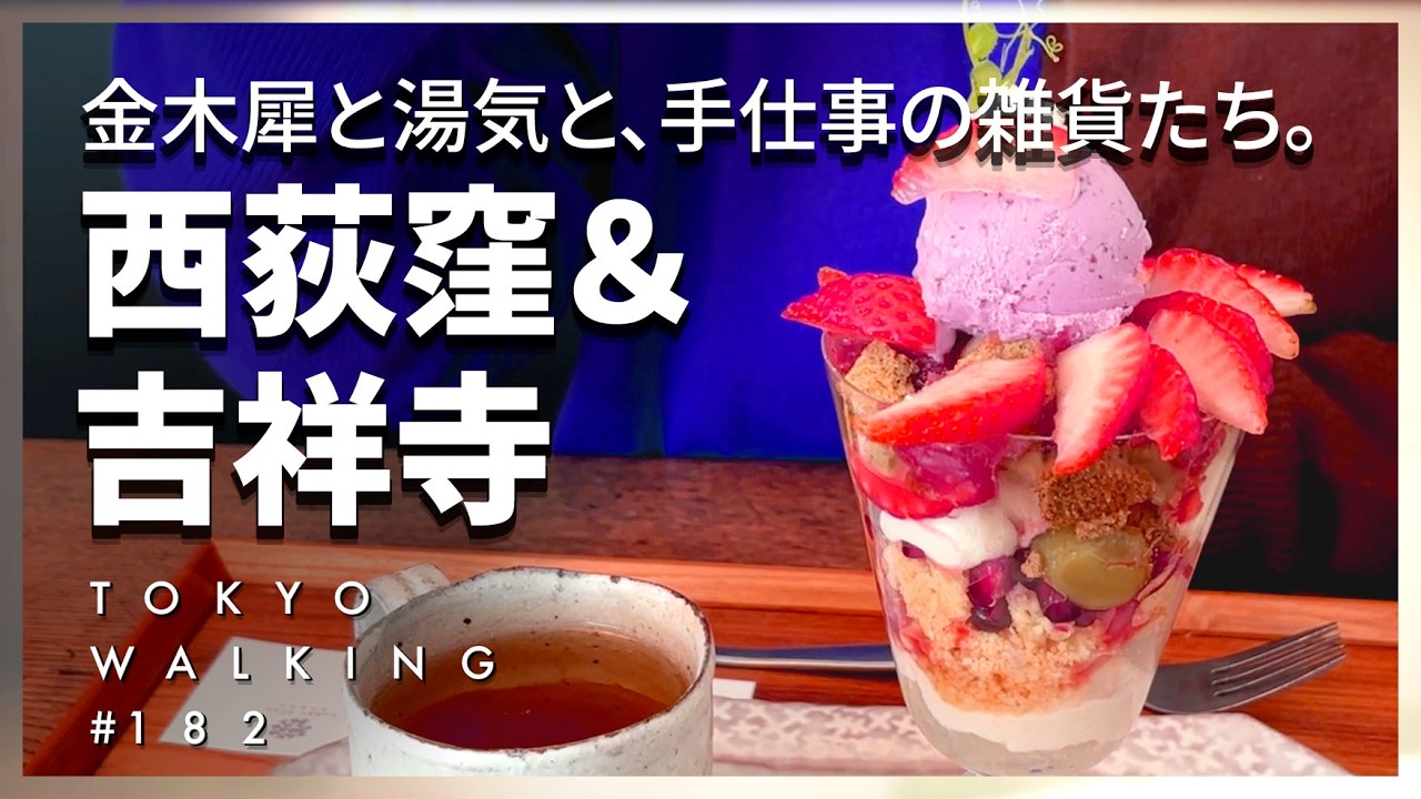 【東京Vlog#182】日本が大好きな韓国の友達とランチとショッピング／スイーツ／和食／たい焼き／イタリアン／カフェ／西荻窪／吉祥寺