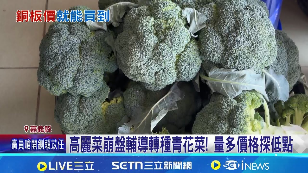 農民搶種! 青花菜價探低點 嘉義田邊價1顆13元 輔導轉種加越南進口青花菜! 青花菜價格波動│記者 廖國雄 朱怡蓉 │新聞一把抓20260128│三立新聞台