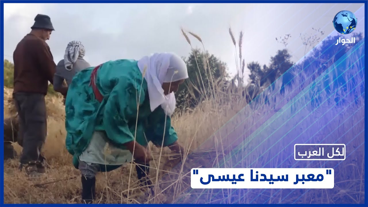 قرية الساوية الفلسطينية.. ماذا تعرفون عنها؟