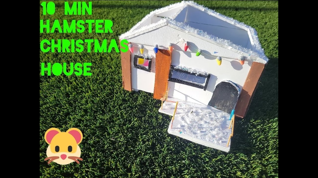 Hamster house build diy