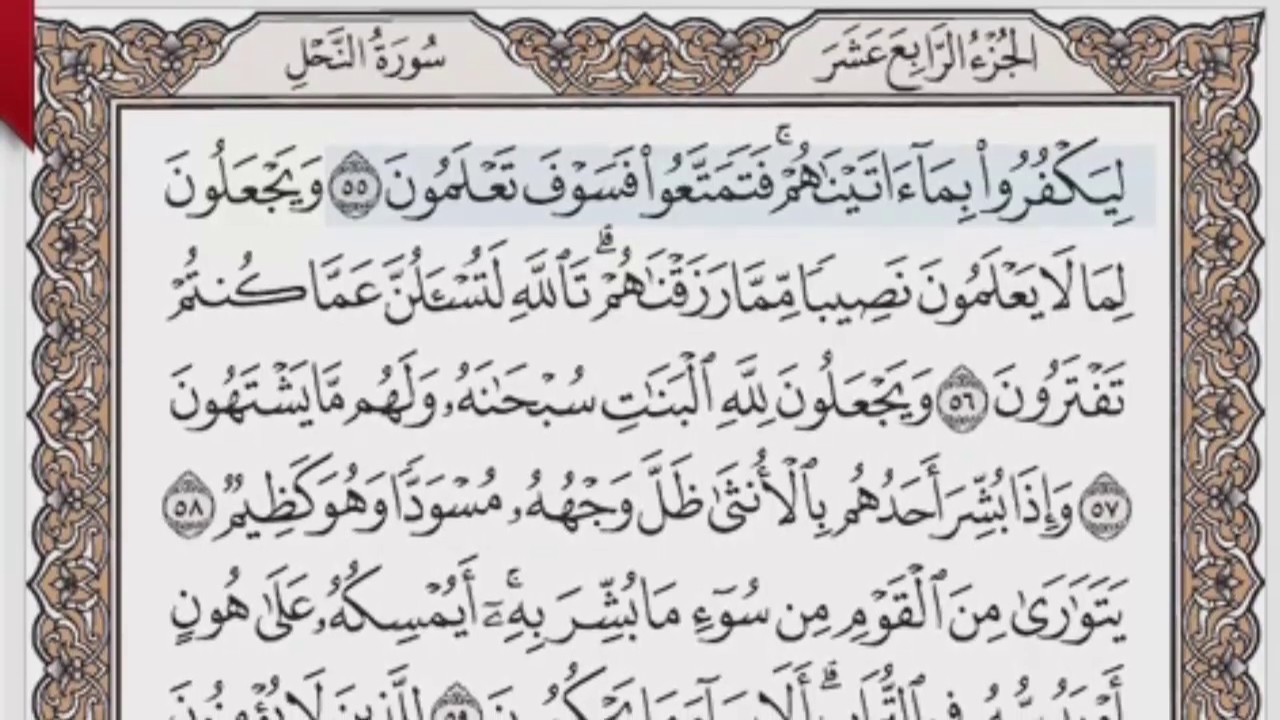 القرآن الكريم بالصفحات صوت وصورة ص/ 273 الشيخ محمود خليل الحصري بمد المنفصل