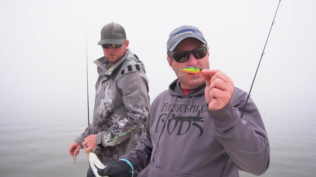 Foggy Morning Specks in Big Lake