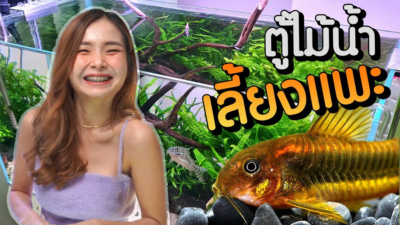 ตั้งตู้ไม้น้ำ 24 นิ้ว เลี้ยงปลาแพะ Corydoras | MarangMod Channel