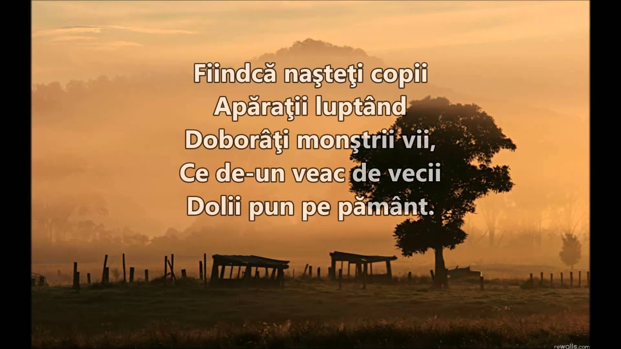 Mircea Vintila - Pamantul deocamdata versuri