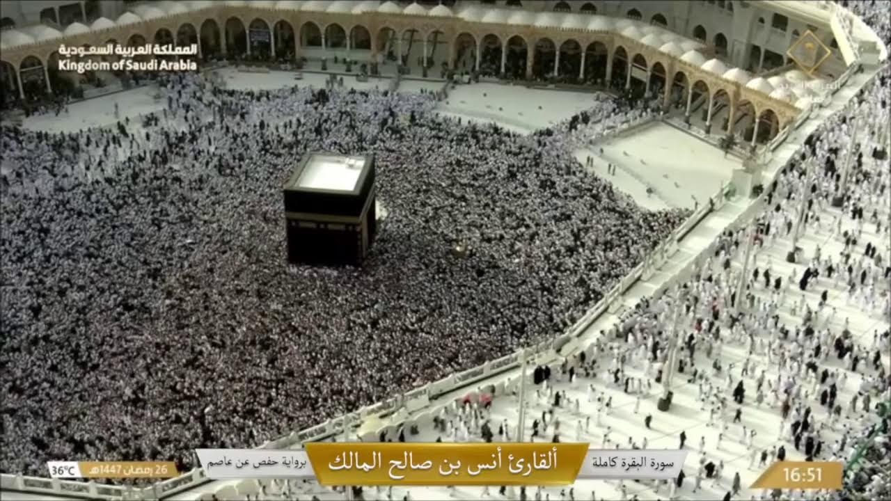 Прямая трансляция пользователя Zikr