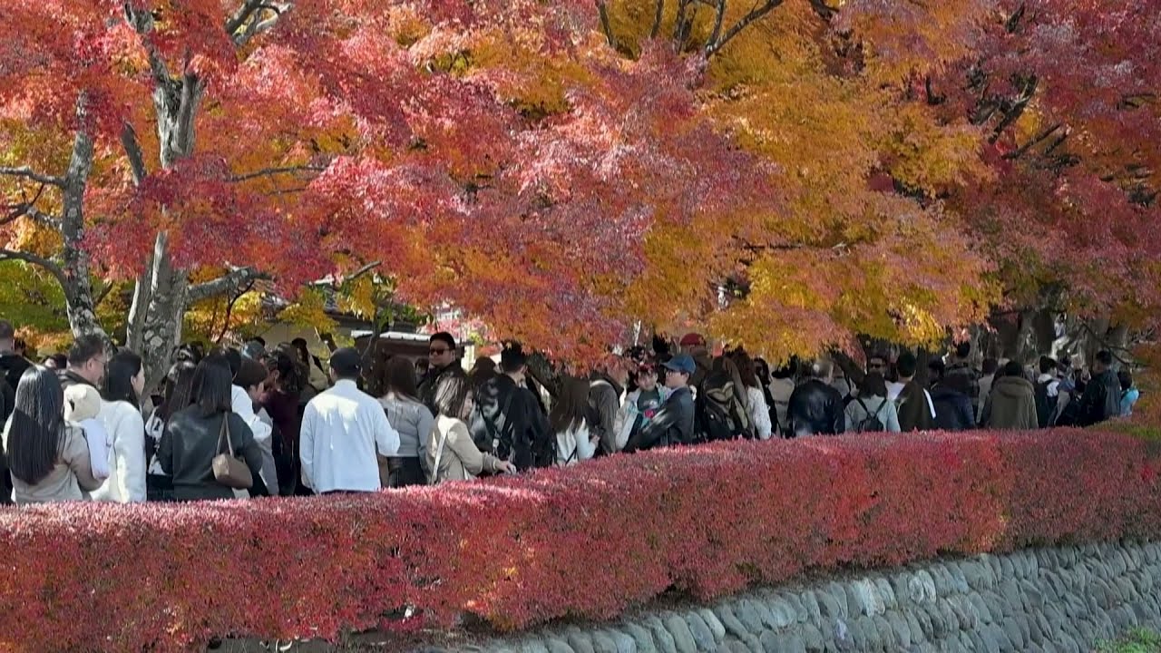 中國對日本祭旅遊禁令 觀光百貨零售類股下跌｜20251122 全球現場深度週報