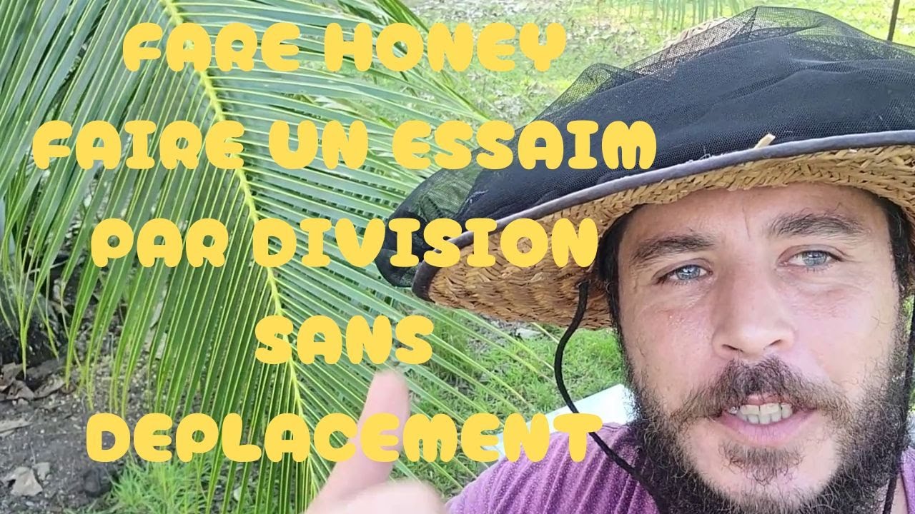 Faire un essaim sans déplacement (apiculture)