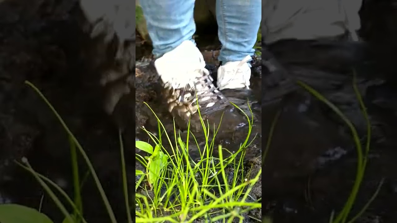 white shoes part 3