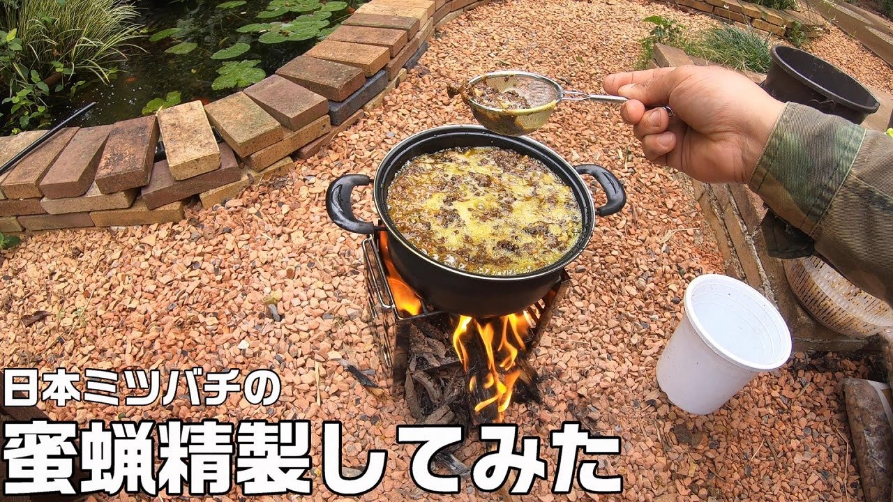 日本ミツバチの巣から蜜蝋を精製してみました。