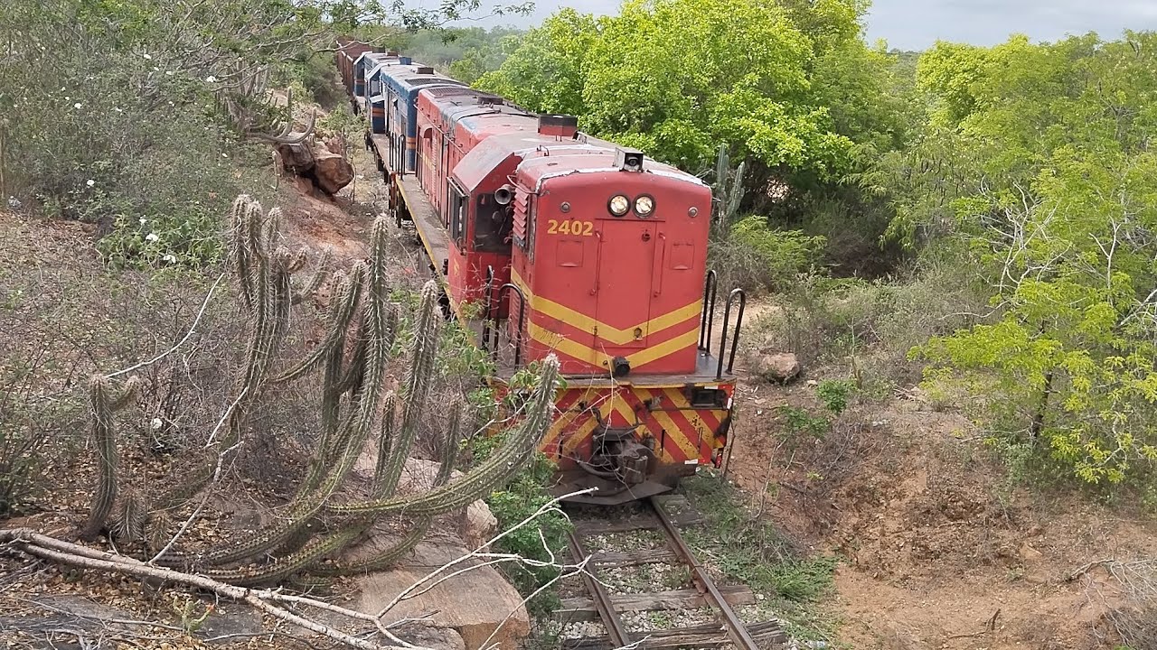 TREM CARGUEIRO DA RFFSA COM VAGÕES VAZIOS DUAS LOCOMOTIVAS LIGADAS E UMA REBOCADA