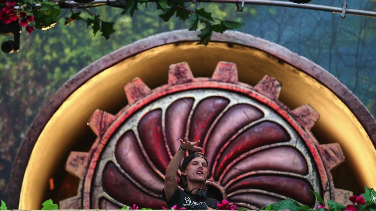 Avicii feat. Billie Joe Armstrong - No Pleasing A Woman [LIVE @ Tomorrowland 2014]