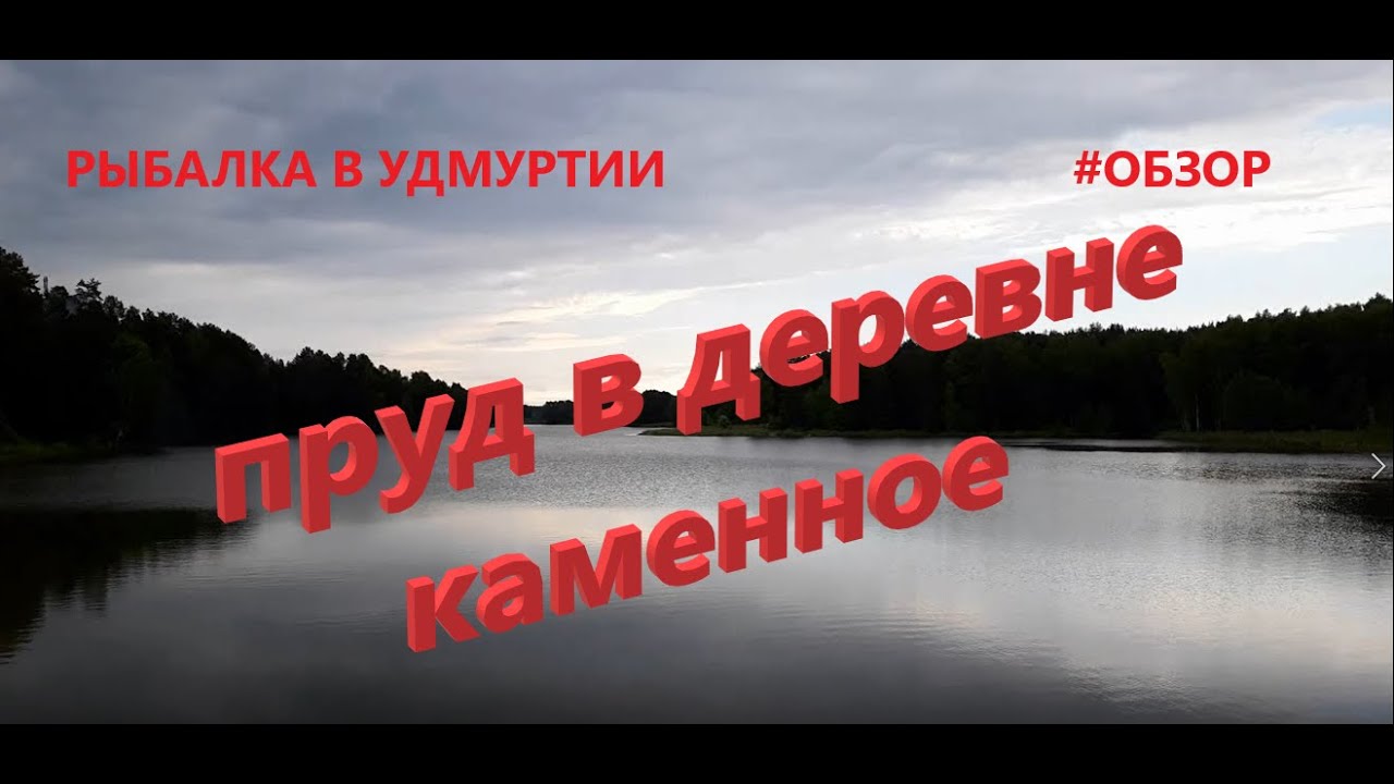 Рыбалка в Удмуртии. Пруд в деревне Каменное.