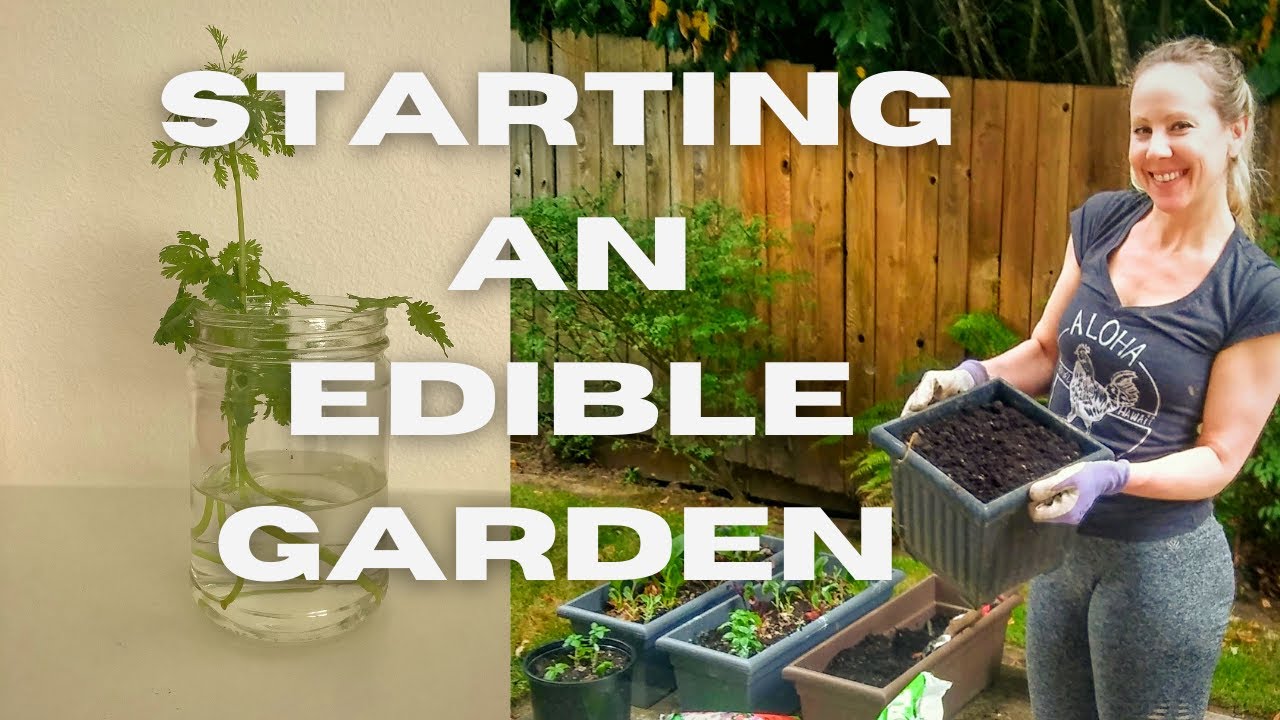 Starting an Edible Garden | The 1st month