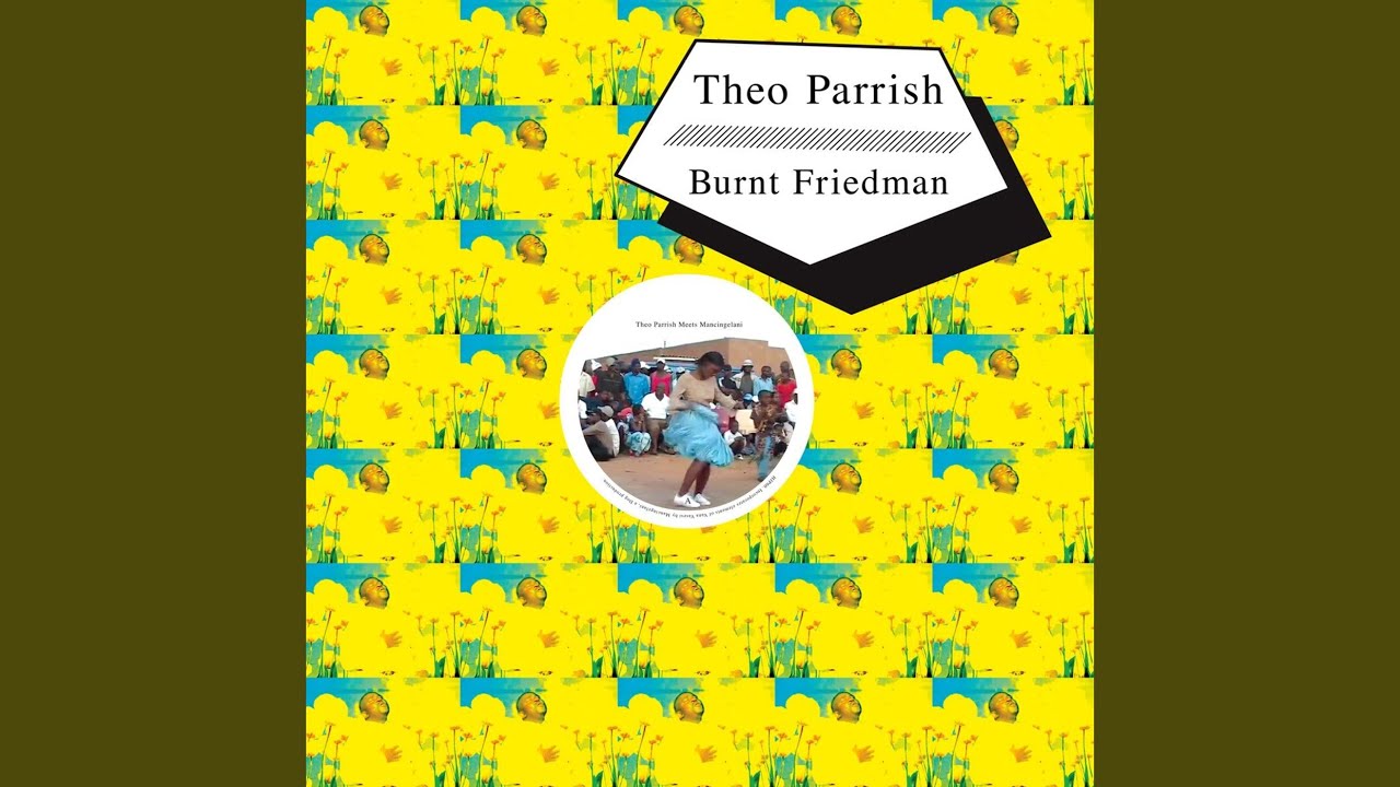 Burnt Friedman Meets Zinja Hlungwani