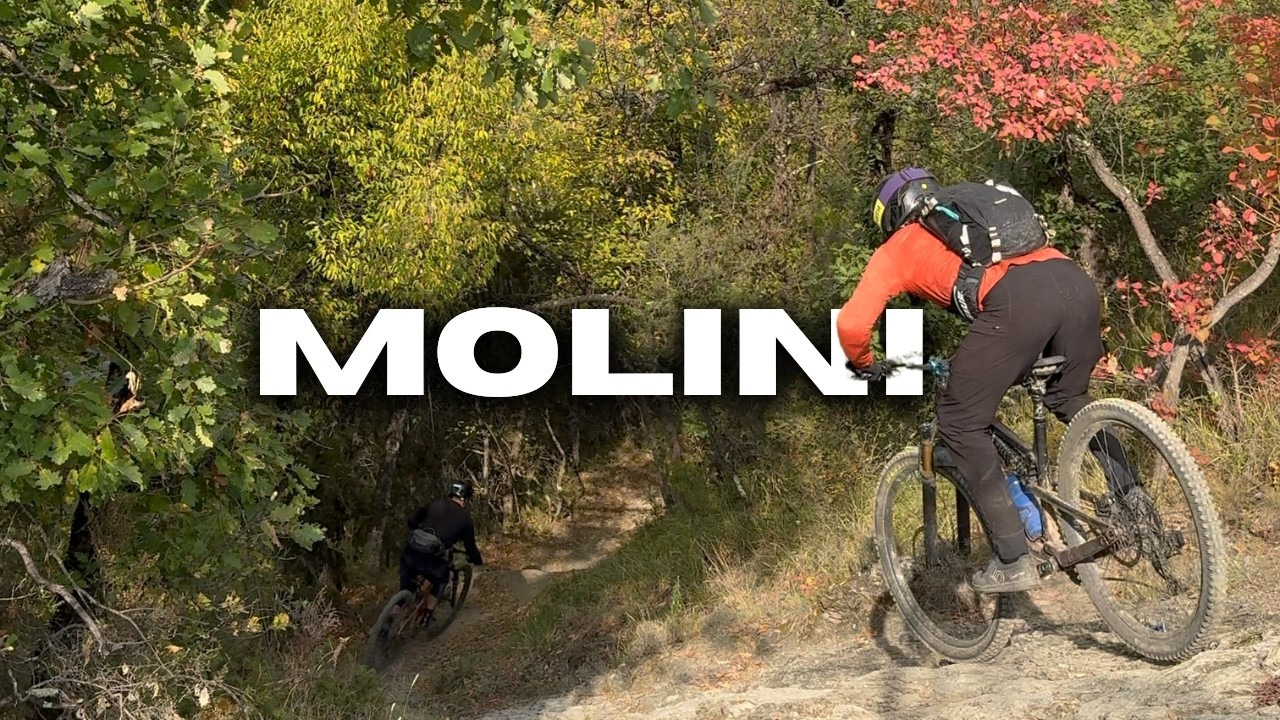 Molini. One Year Later. We’re Back.