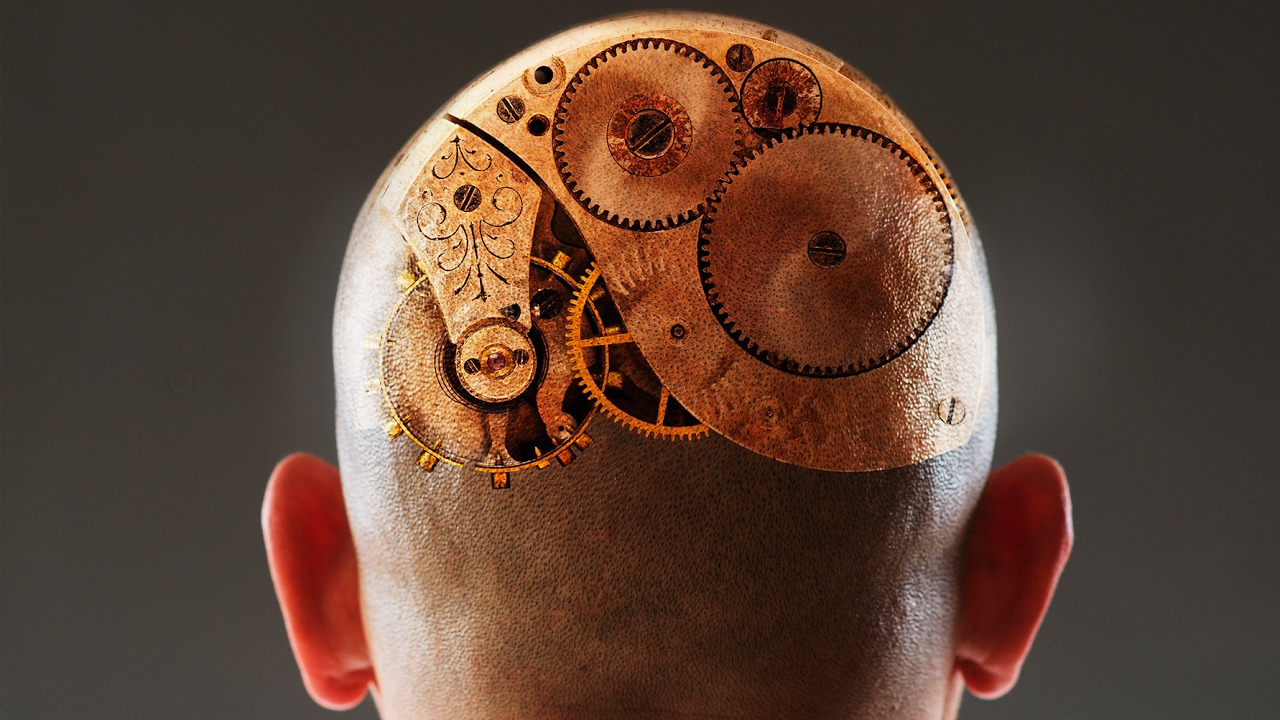 How Human Consciousness Evolved | Daniel Dennett | Big Think