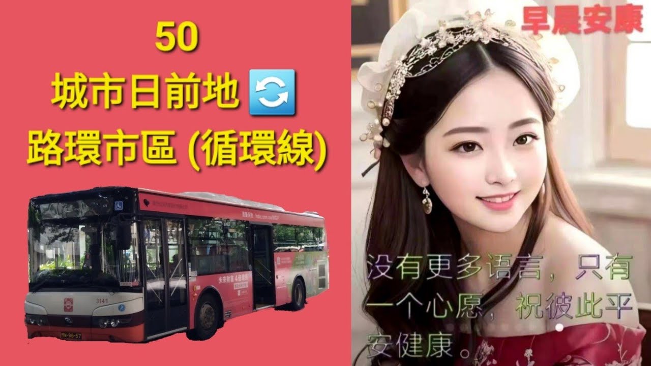 Macau Bus TCM 3141 @ 50 澳門公共汽車股份有限公司 YuTong ZK6105HG 城市日前地 路環市區 城市日前地