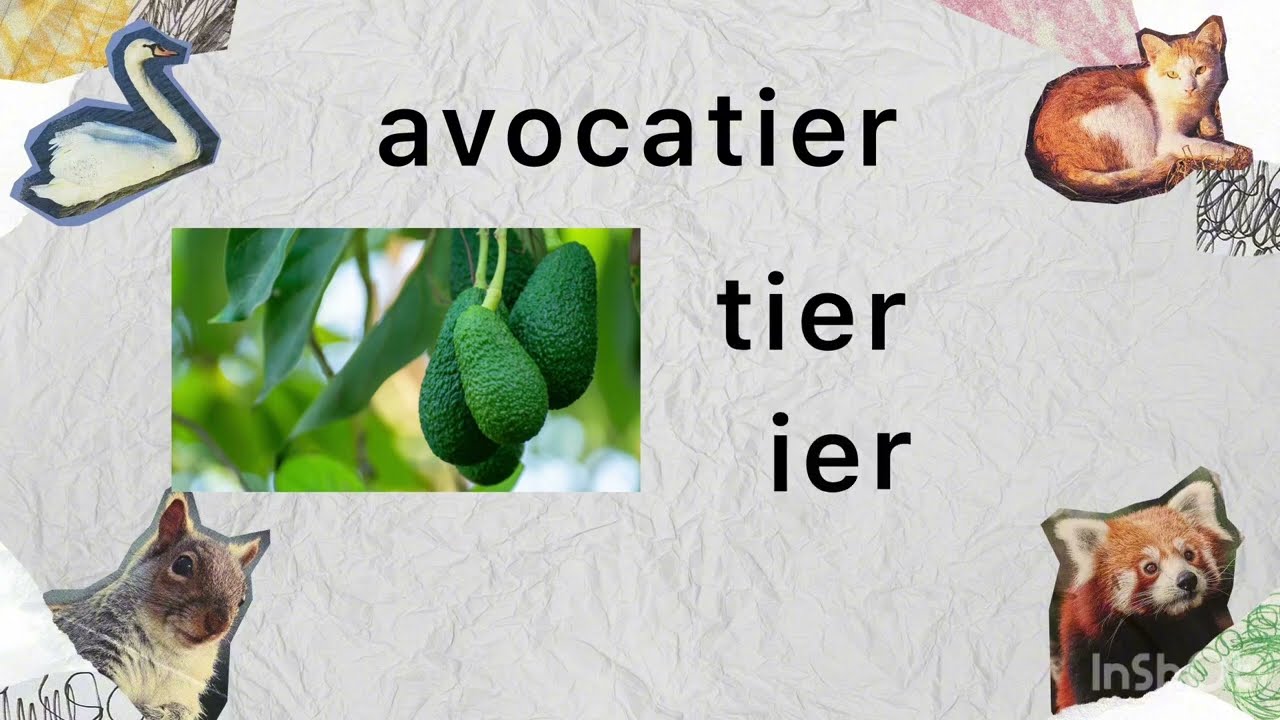 Apprendre à lire « ier » Apprendre à lire facilement