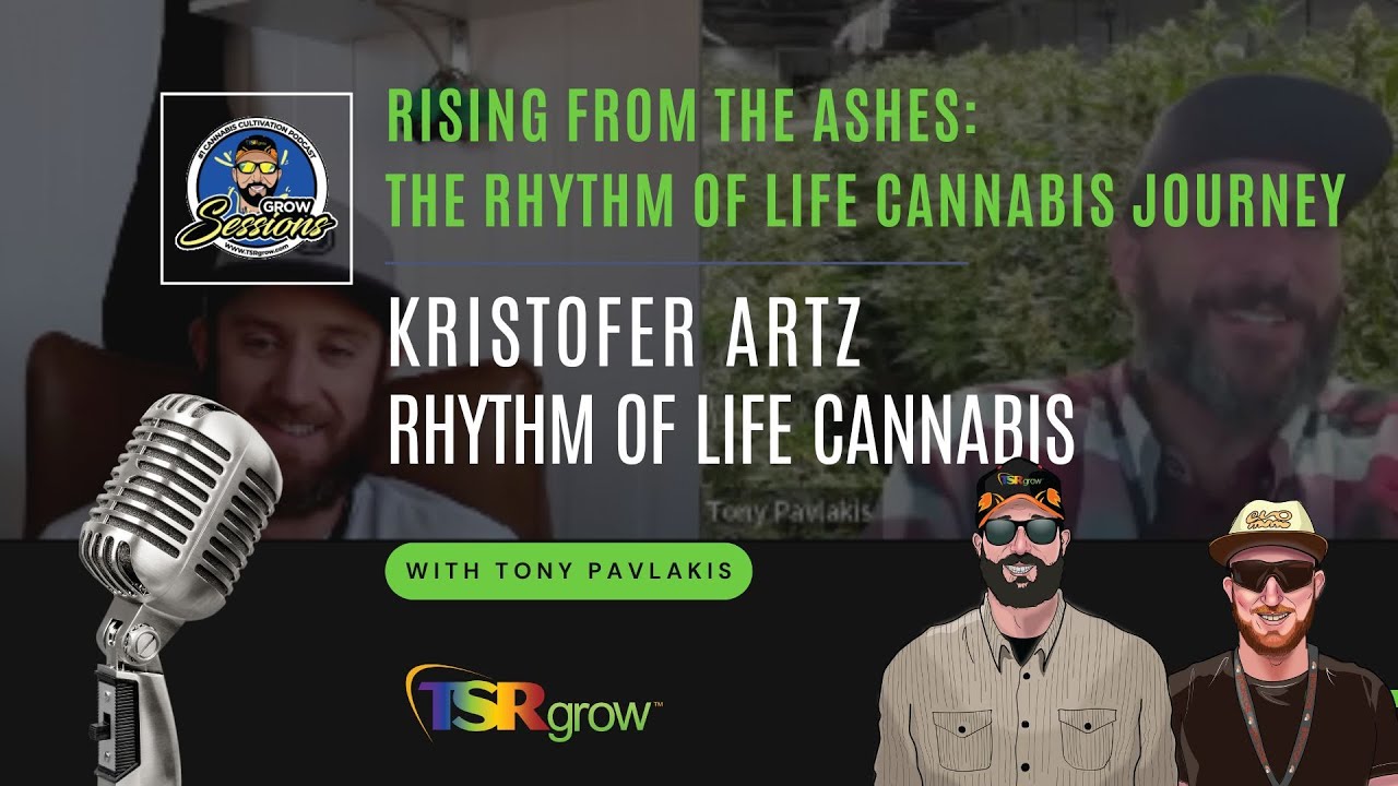 Kris Artz, Rythm of Life Cannabis - Rising from the Ashes: The Rhythm of Life Cannabis Journey
