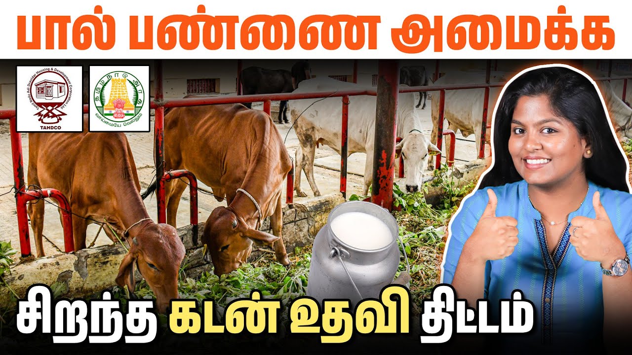 அரசு உதவியுடன் பசு பண்ணை துவங்கும் சுலப வழி | Govt Loan Scheme for Dairy Business Full Details Tamil