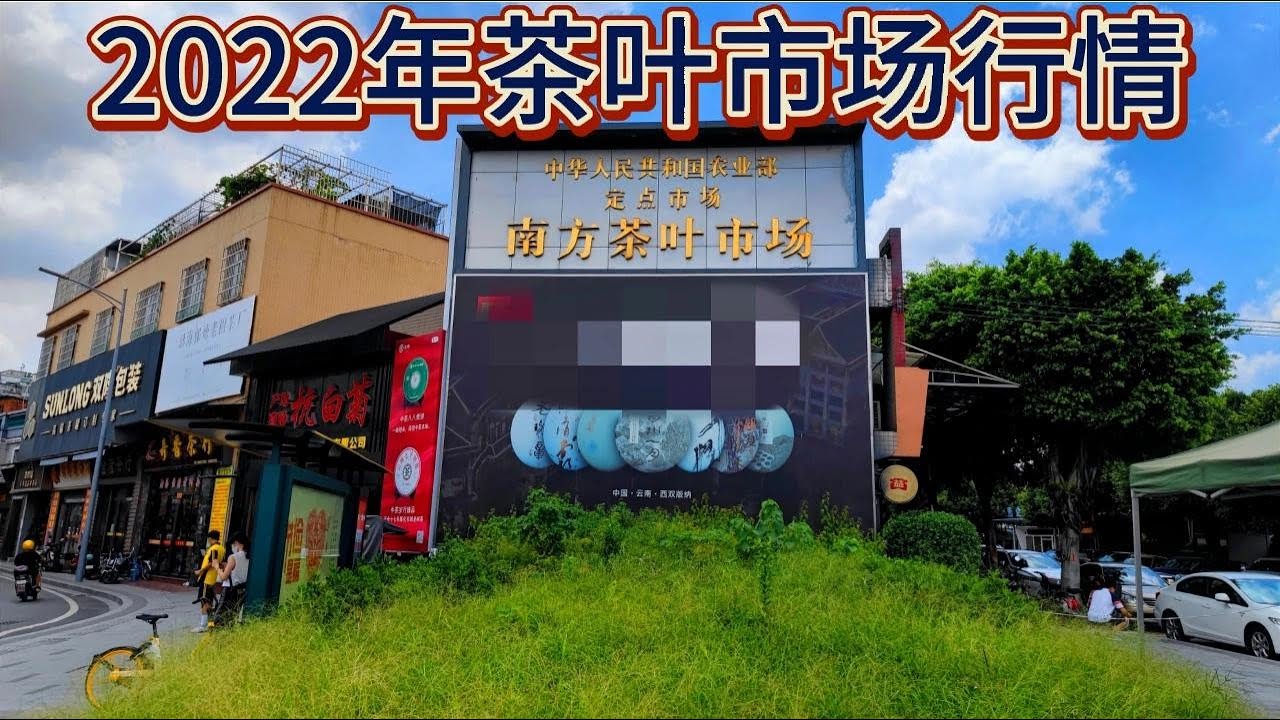 2022年广州芳村茶叶市场，市场冷清行情惨淡，喝泡中茶烟味普洱茶