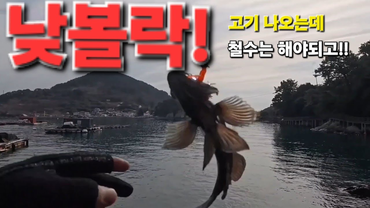 낮 볼락 공략 방법!  통영 볼락루어낚시 짬낚  닝기리 시간이 없네