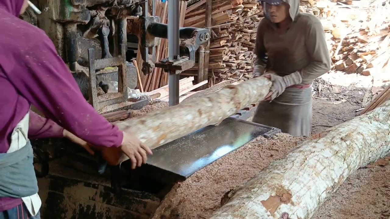 PERDANA ODER MAHONI BAHAN KERAJINAN