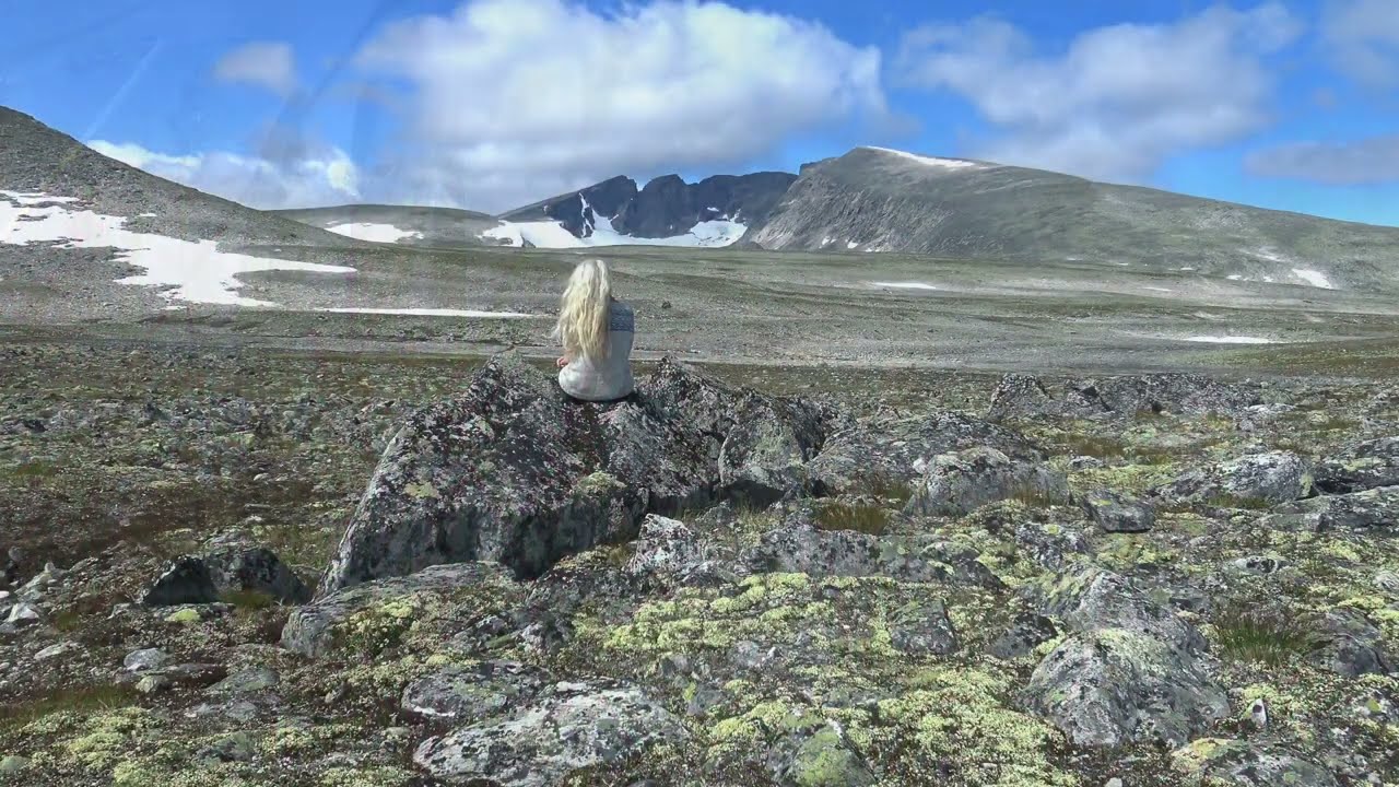 Melting Glacier (single)