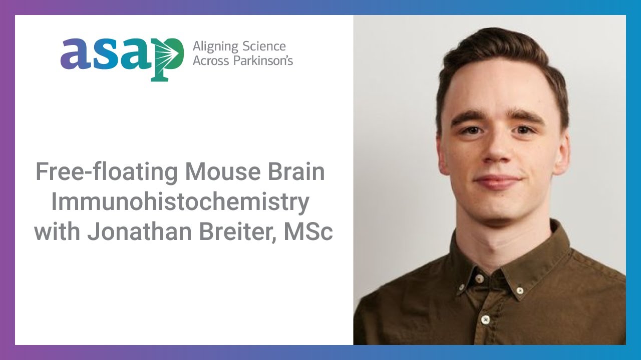 Free-floating immunohistochemistry with Jonathan Breiter, MSc