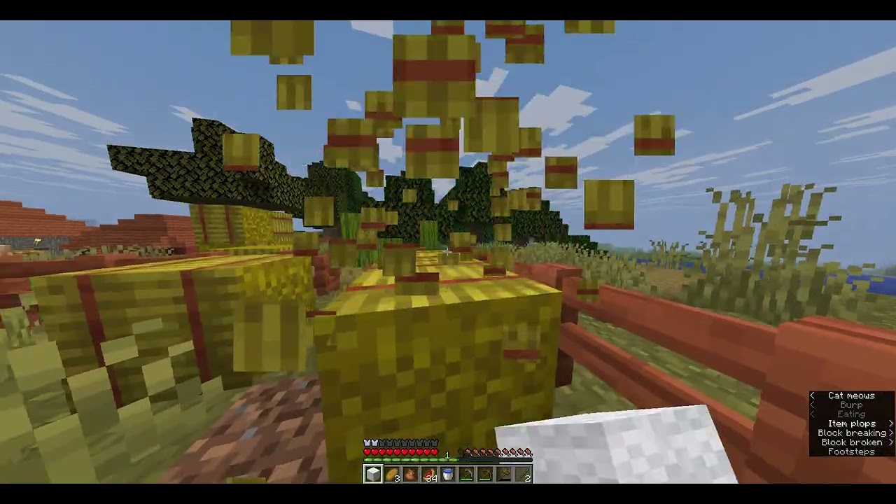 Minecraft speedrun 1