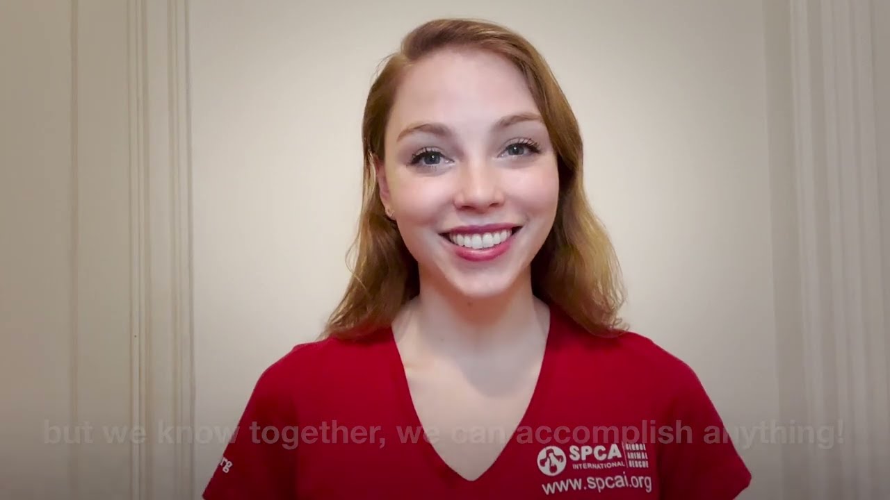 Thank You for Your Support in 2023! |  SPCA International | Global Animal Rescue