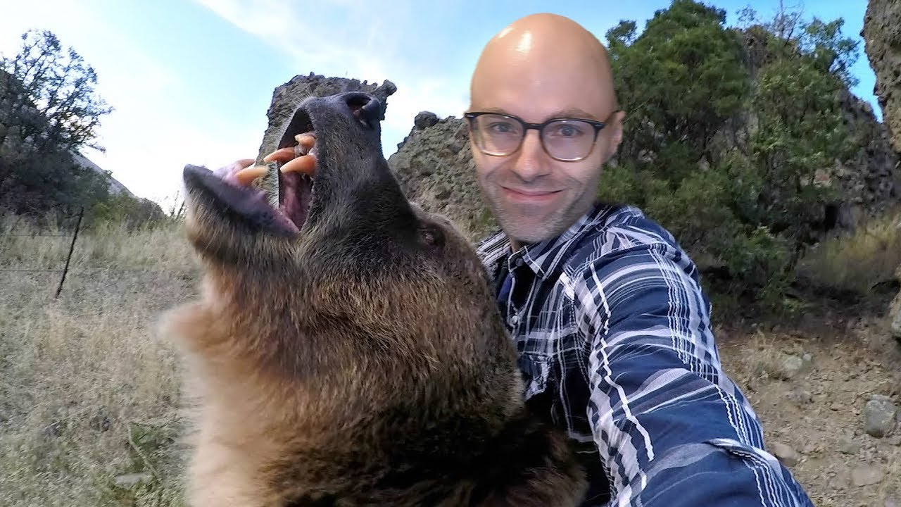 Which animal would make the best spouse?