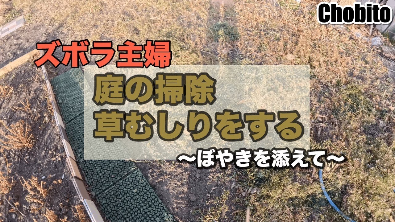 ズボラなアラフィフぼやきを添えて庭掃除（草むしり）をする　掃除　片付け　家庭菜園　ガーデニング 　雑草　荒地　庭いじり