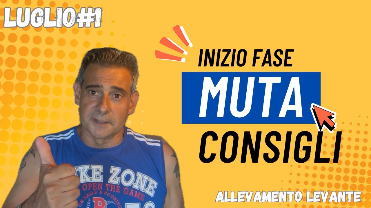 Muta, cosa fare - Luglio#1