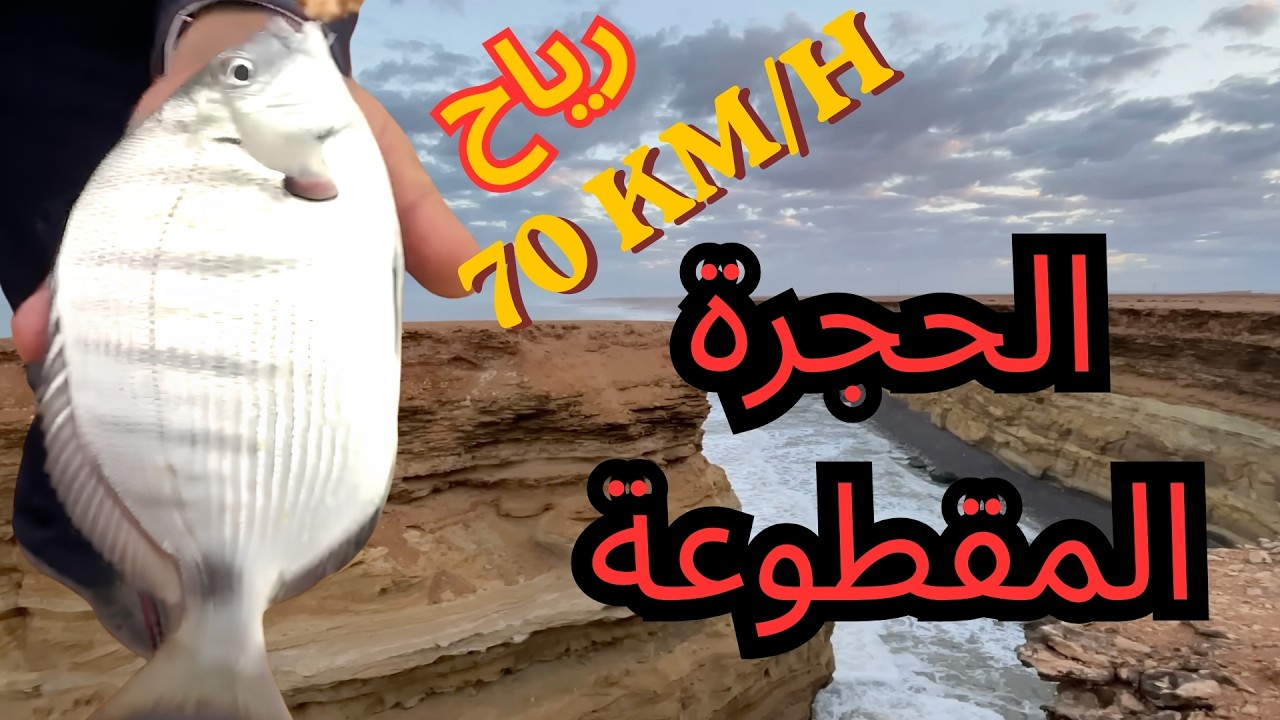 الحجرة المقطوعة مصيد رائع الرياح  70 km/h