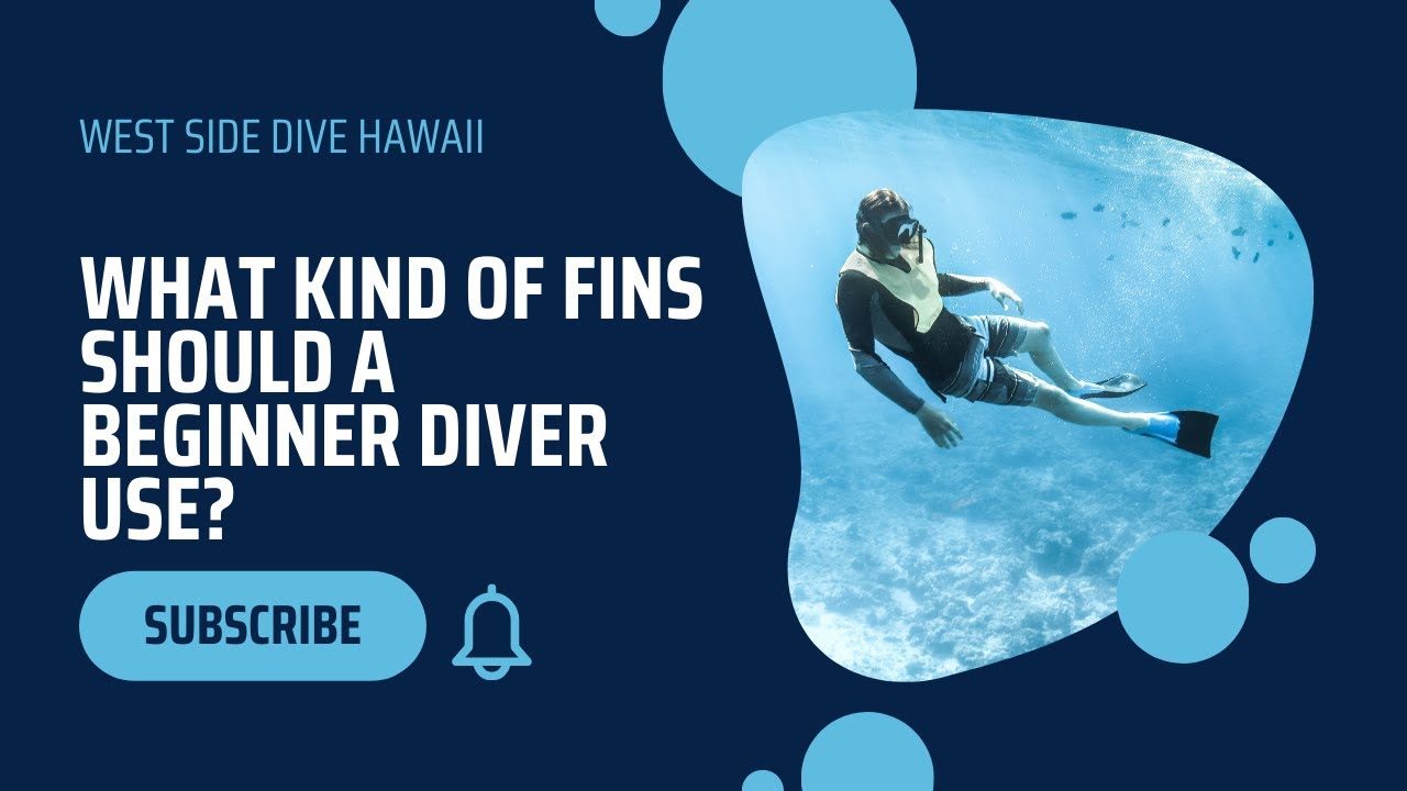 Snorkeling for beginners - What kind of fins should I use?
