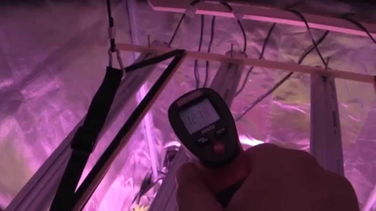 BML LED GROW LIGHTS - Video #9 - Day 17 Flower - Pistols, Temps, Clones and More!