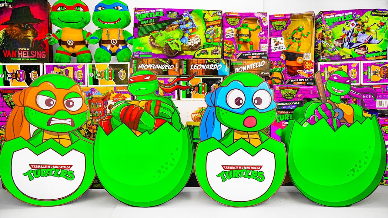 Teenage Mutant Ninja Turtles Unboxing ASMR | Secret Ninja Leonardo Egg & Mikey Egg Box