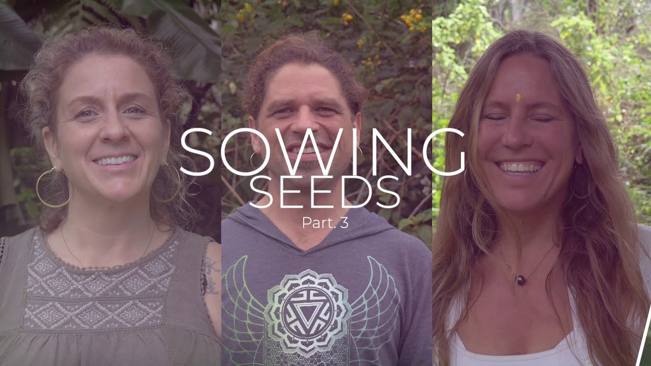 Sowing Seeds Ep3 DragonFly Earth Medicine