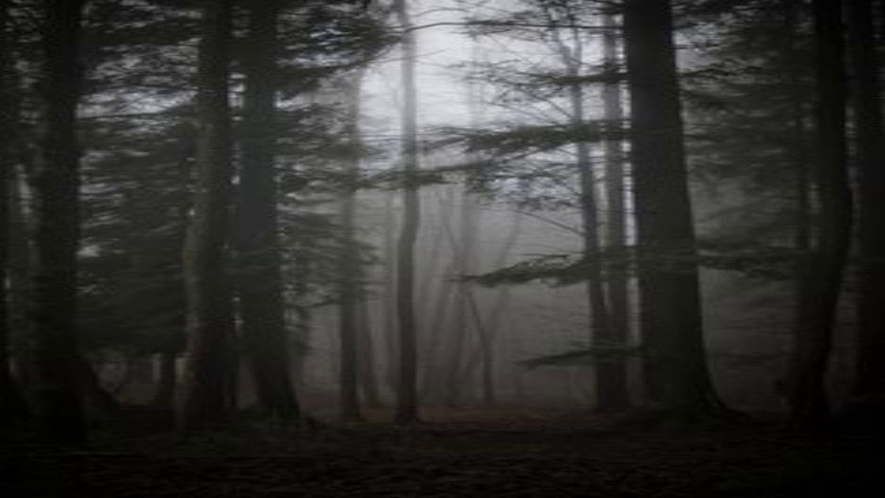 OAO Stockyard Sountrack Extended 432 hz -  ( For Meditation )
