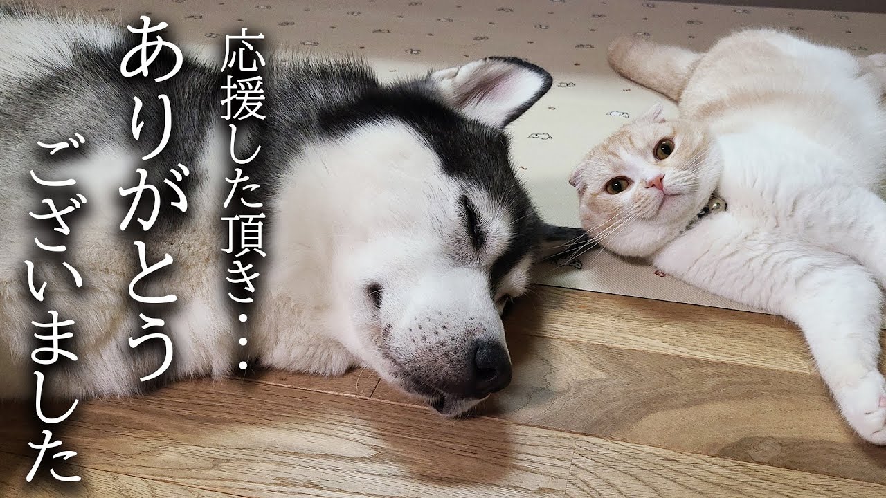 術後1カ月みなさまにお伝えしたいことがあります...