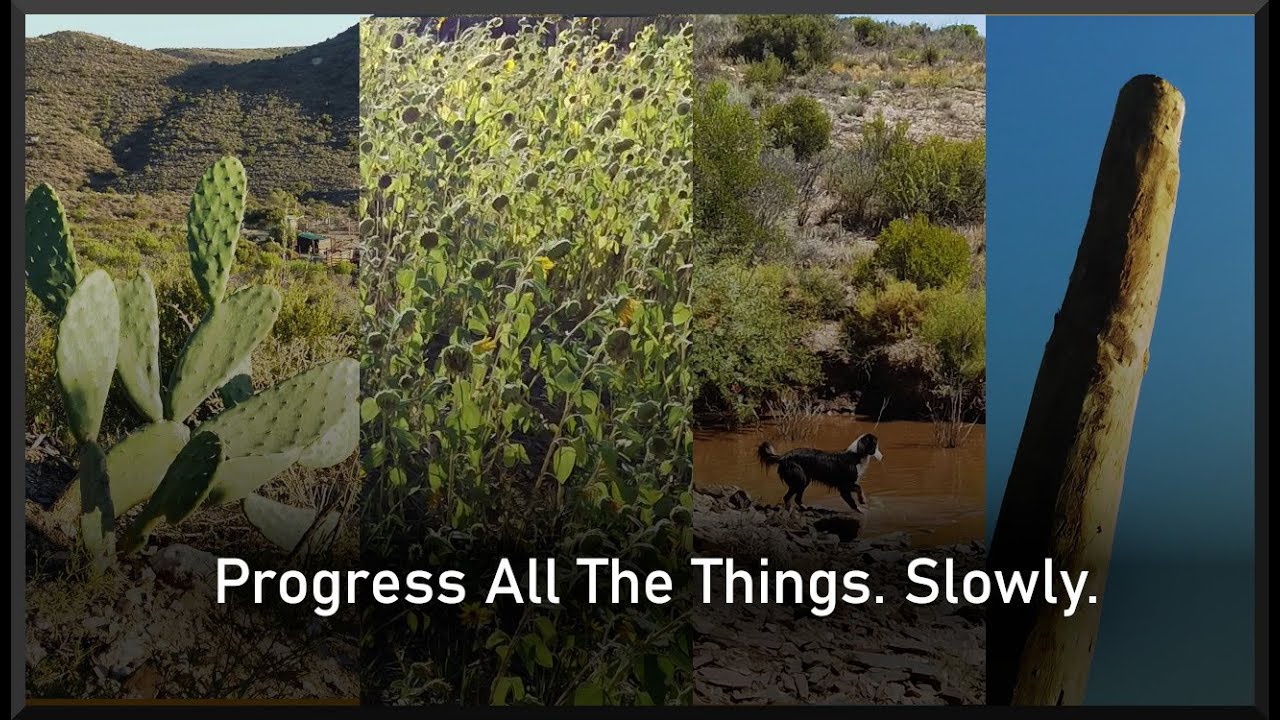 Progress: Sunflowers, Soil, Goats, Timber, Concrete & Rainwater Dam Filled