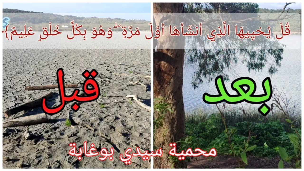 (قل يحييها الذي أنشأها أول مرة و هو بكل خلق عليم.) صدق الله العظيم